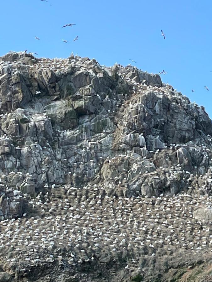 Gites Le Rucher De Kerillis Plouguiel Exteriör bild